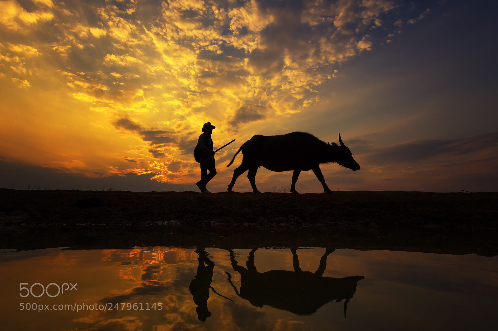 Canon EOS 600D (Rebel EOS T3i / EOS Kiss X5) sample photo. Silhouette sunset with lifestyle photography