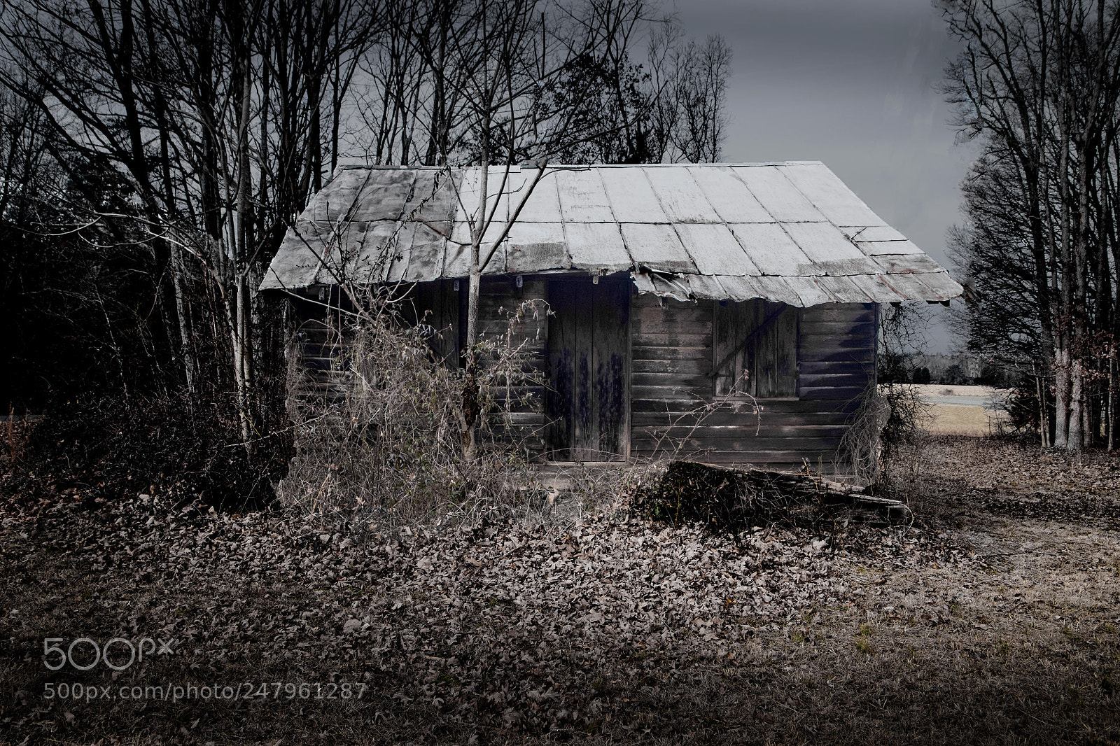 Nikon D500 sample photo. Portraits of ordinary architecture photography