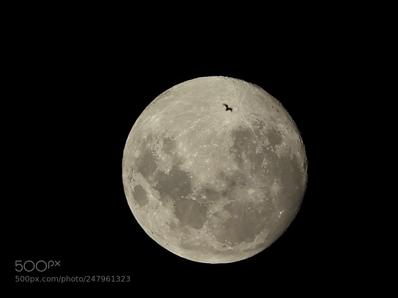 Nikon Coolpix B700 sample photo. Moon & bird photography