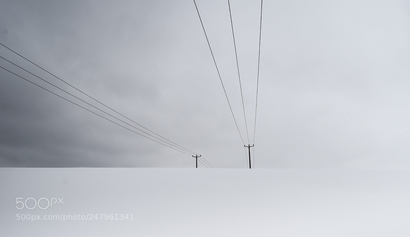 Nikon D5500 sample photo. Power lines photography