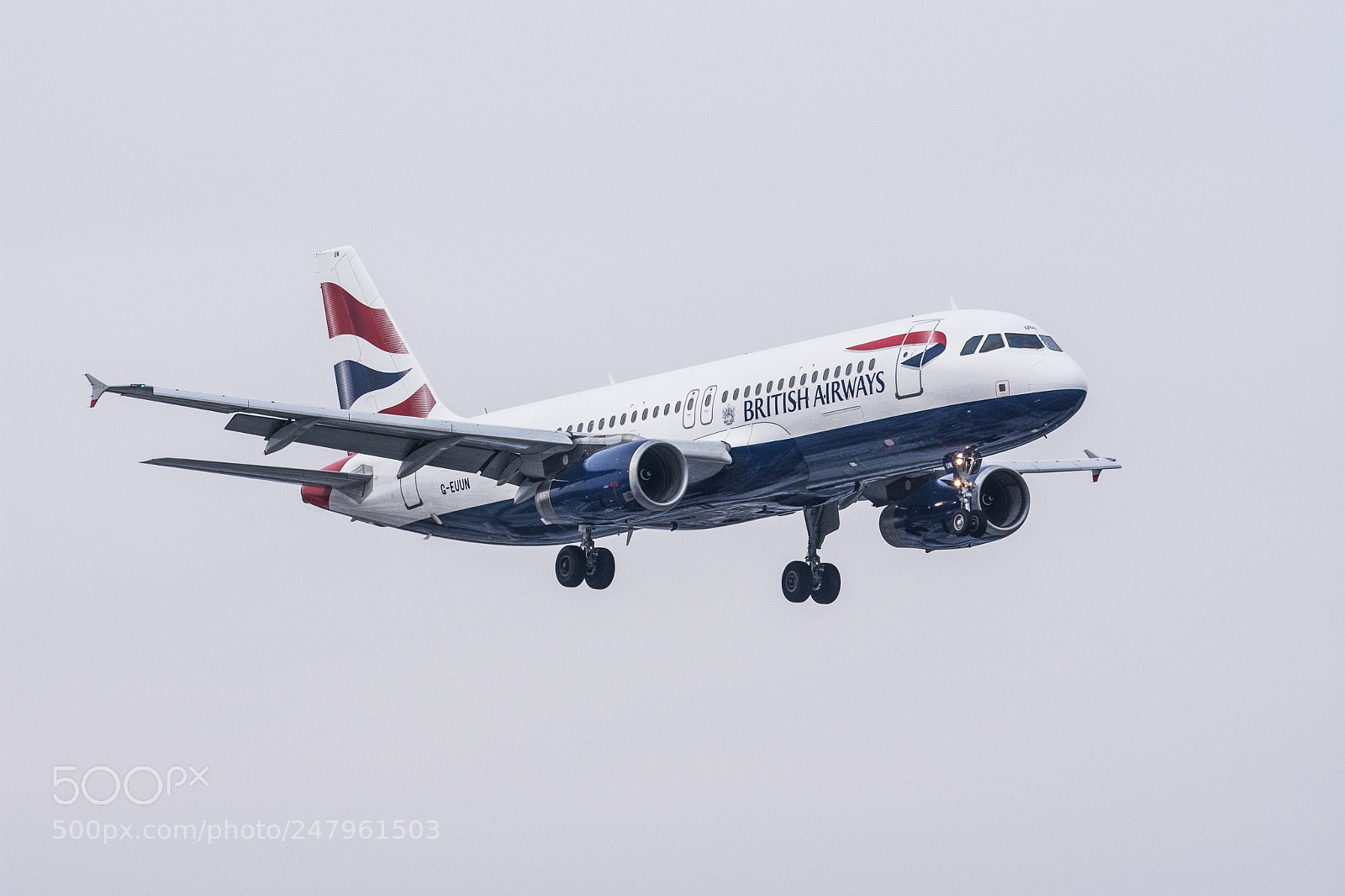Nikon D7200 sample photo. Bird from chopin airport photography