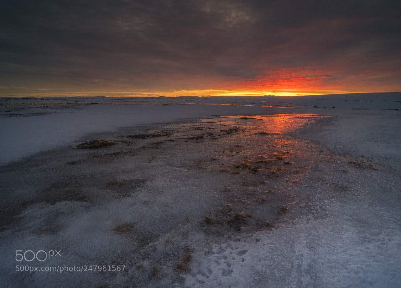 Sony a7 II sample photo. Ice photography