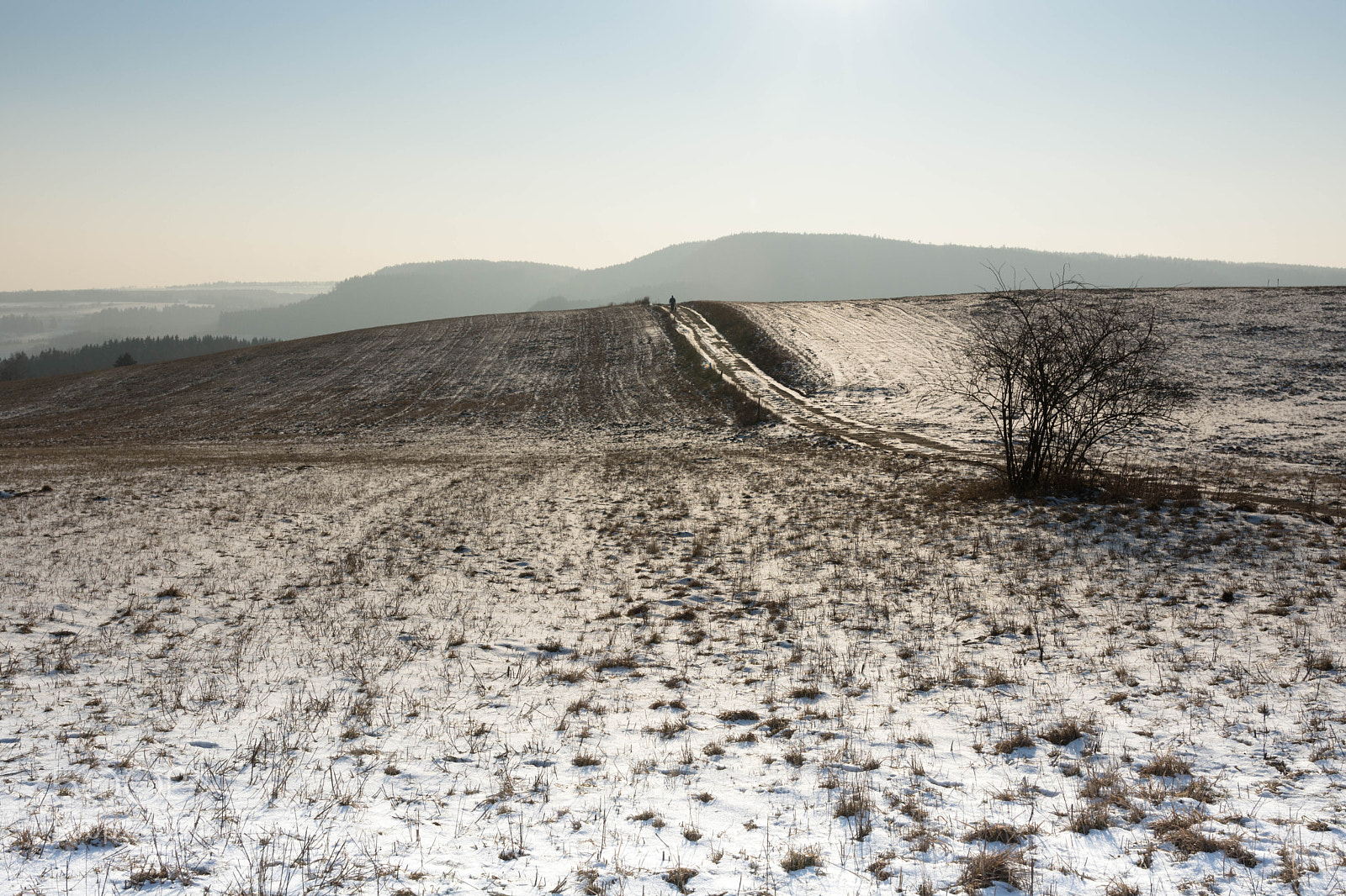 Nikon D7200 sample photo. One way photography
