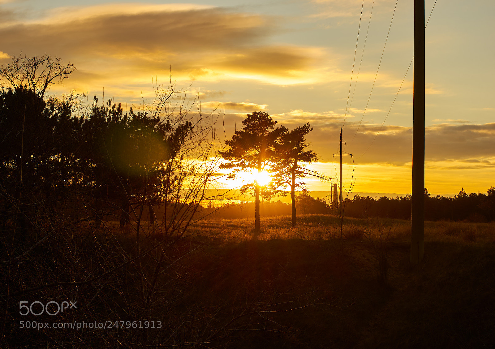 Pentax K-5 II sample photo. Sunset in the forest photography