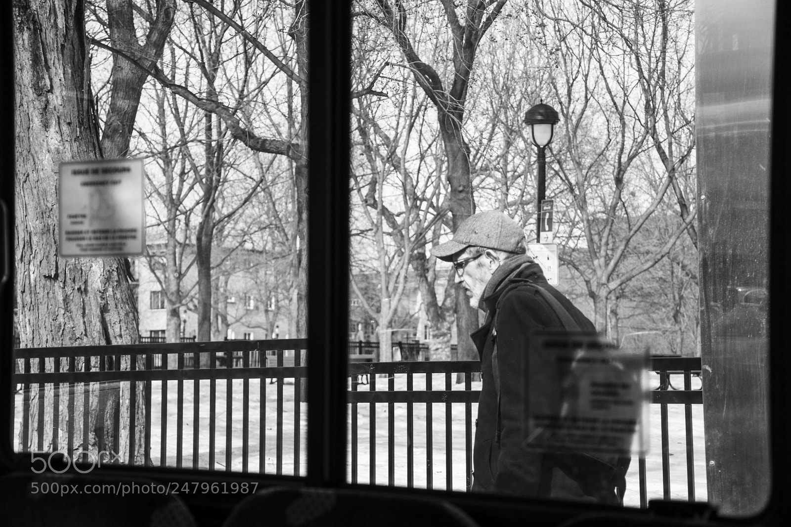 Nikon D7500 sample photo. Passing by photography