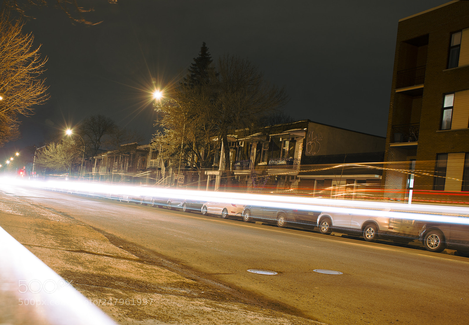 Nikon D7500 sample photo. Follow me photography