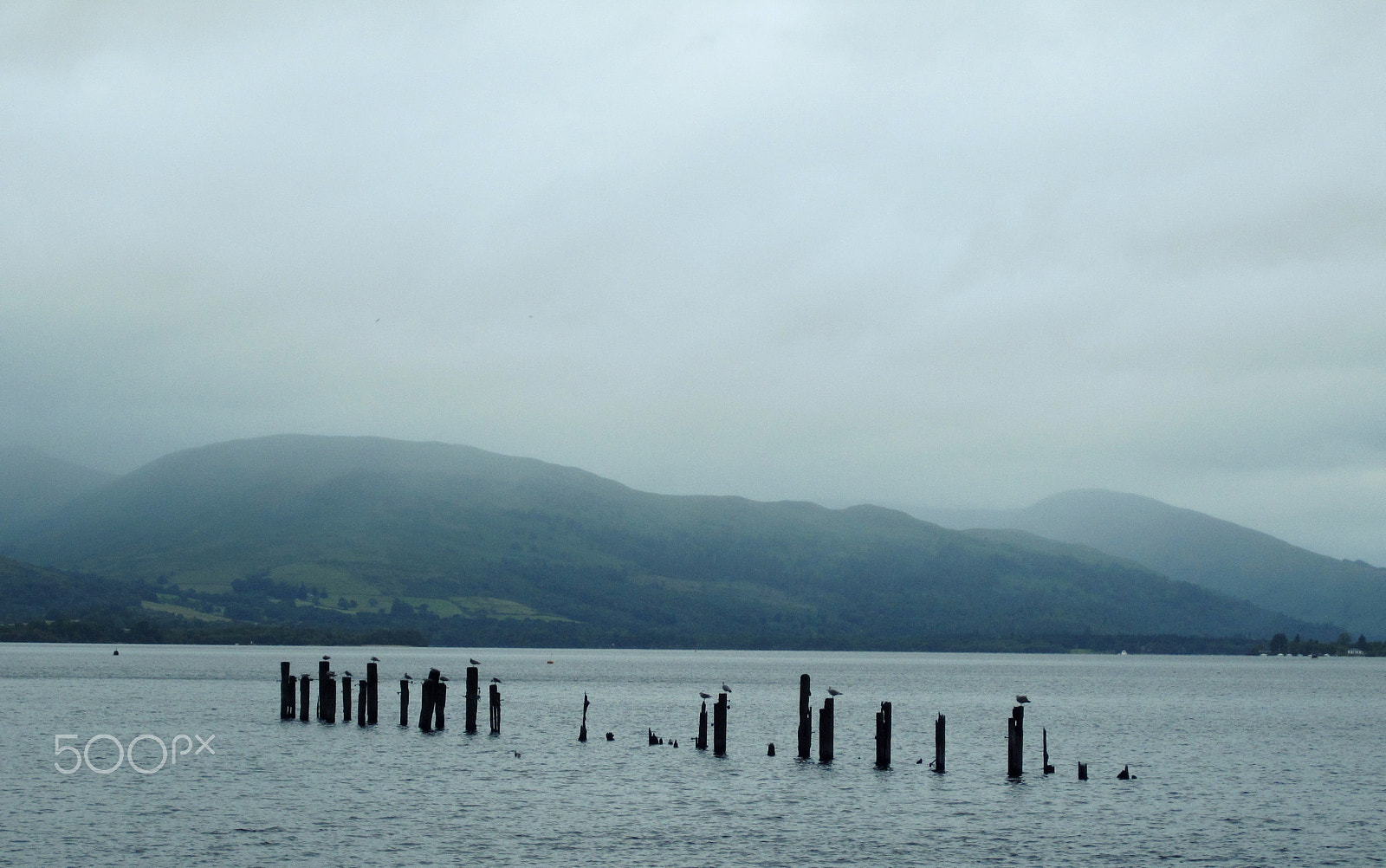 Canon PowerShot SD780 IS (Digital IXUS 100 IS / IXY Digital 210 IS) sample photo. Seagulls resting on pillars photography