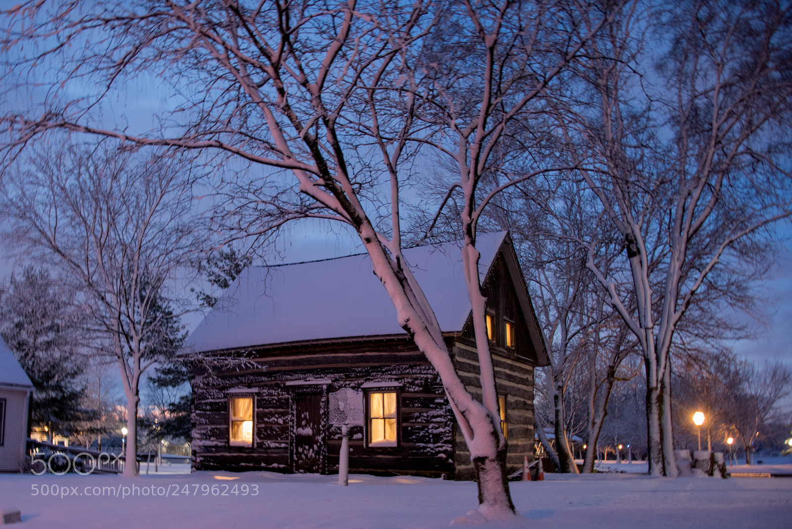 Nikon D810 sample photo. At least it is photography