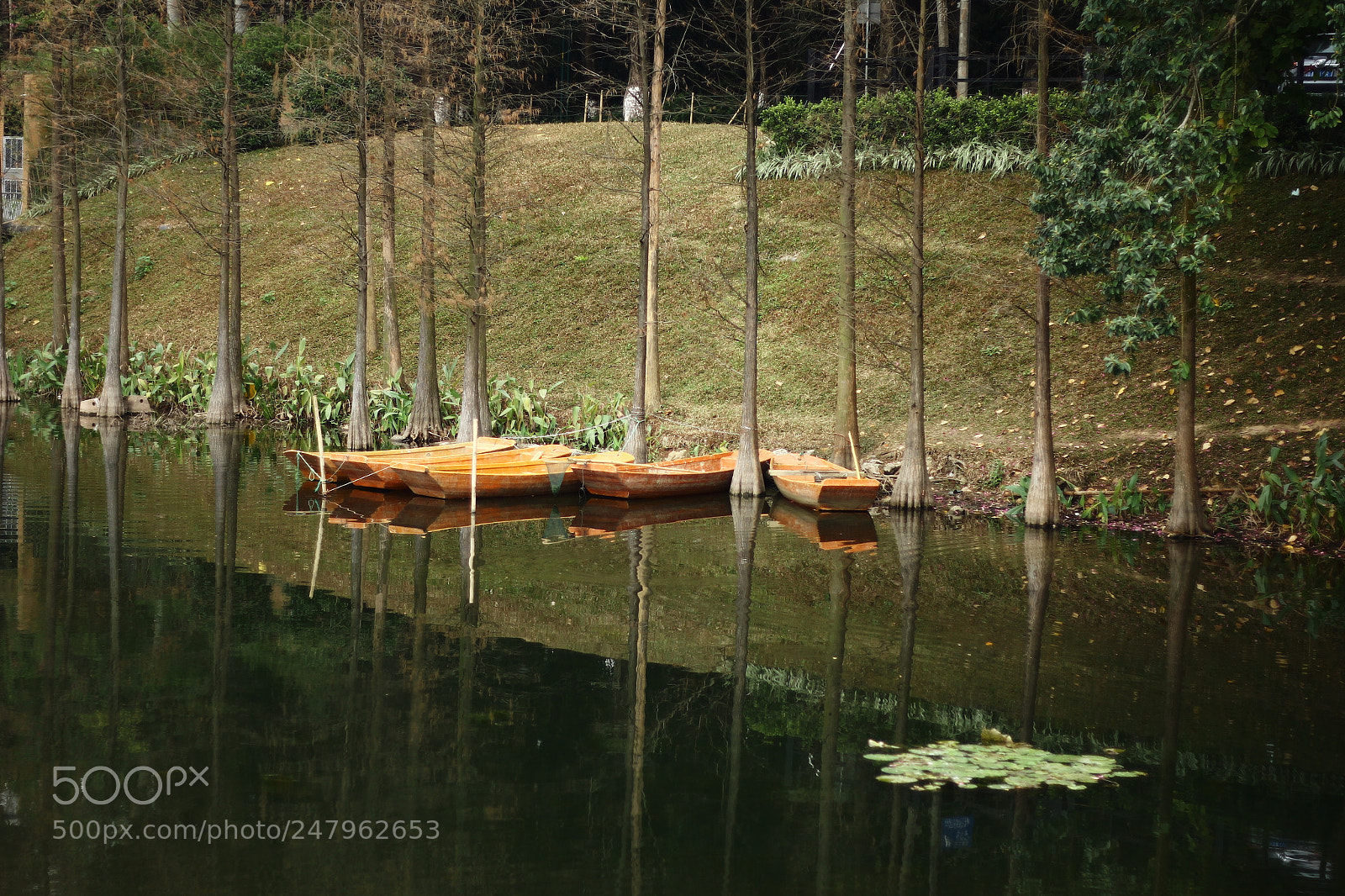 Canon EOS 60D + Canon EF 50mm F1.8 STM sample photo. Boats photography