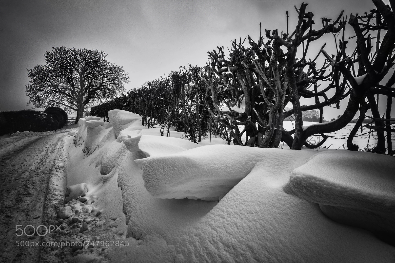 Sony Cyber-shot DSC-RX100 II sample photo. Wind sculpted snow photography