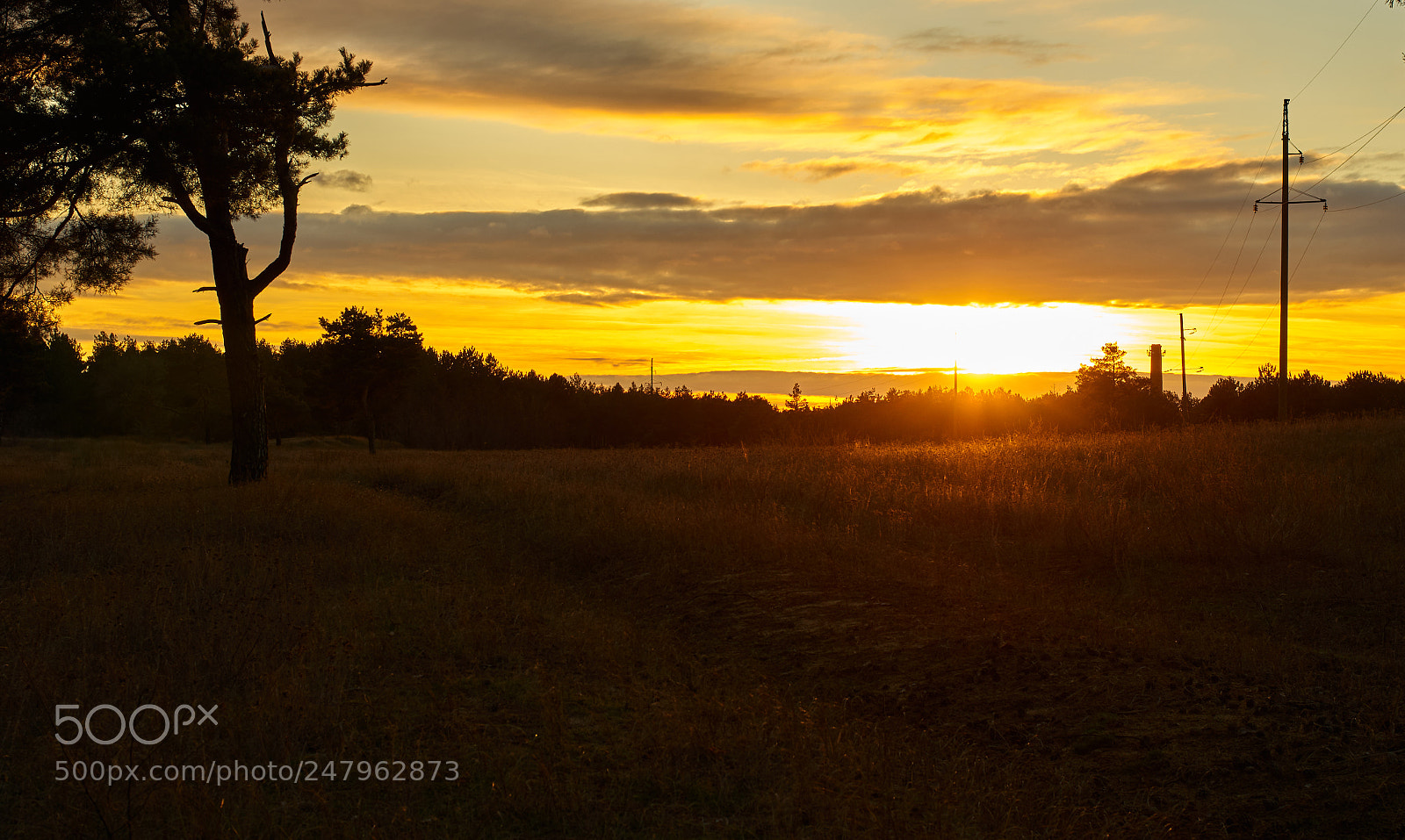 Pentax K-5 II sample photo. Sunset in the forest photography