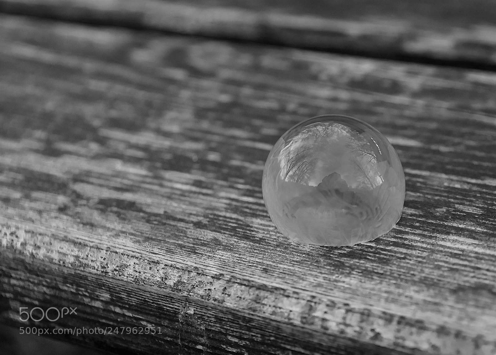 Pentax K-3 II sample photo. Frozen water bubble photography