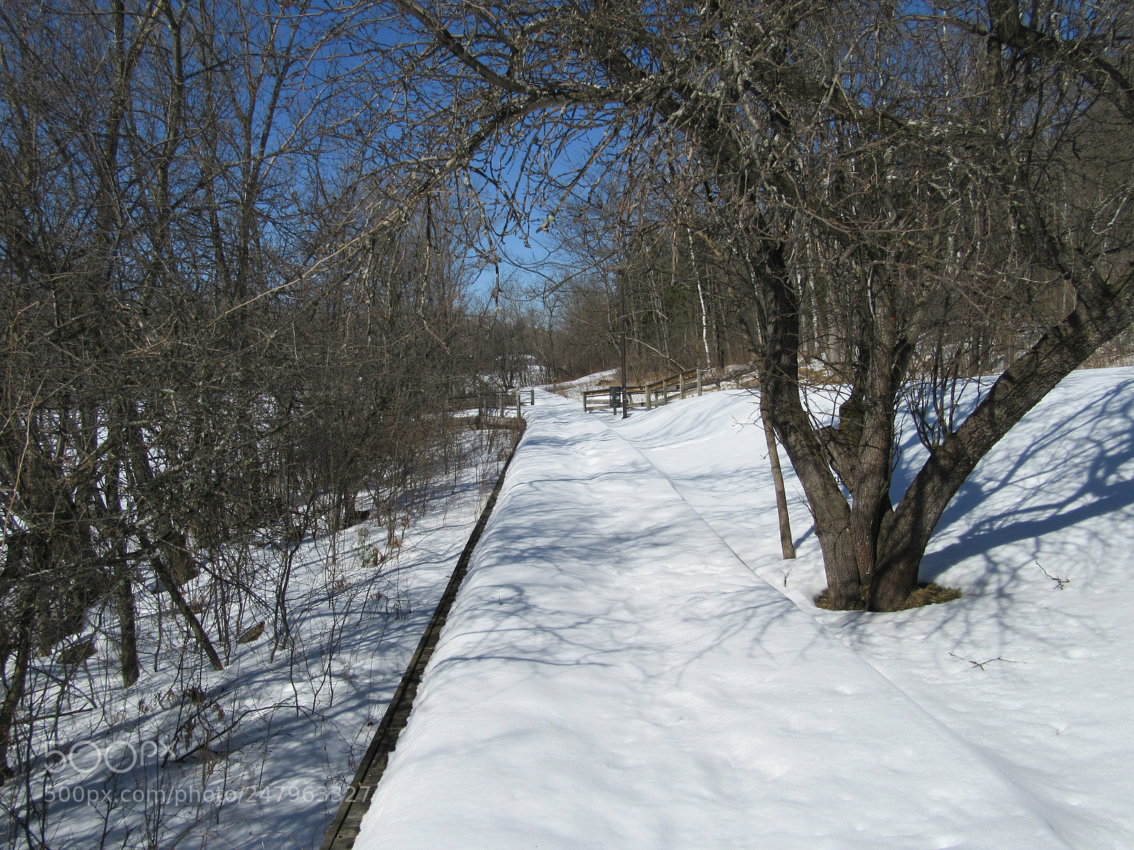 Canon PowerShot SX610 HS sample photo. Winter path photography