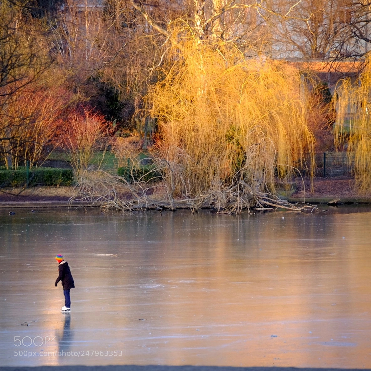 Fujifilm X-T10 sample photo. Colours of winter photography
