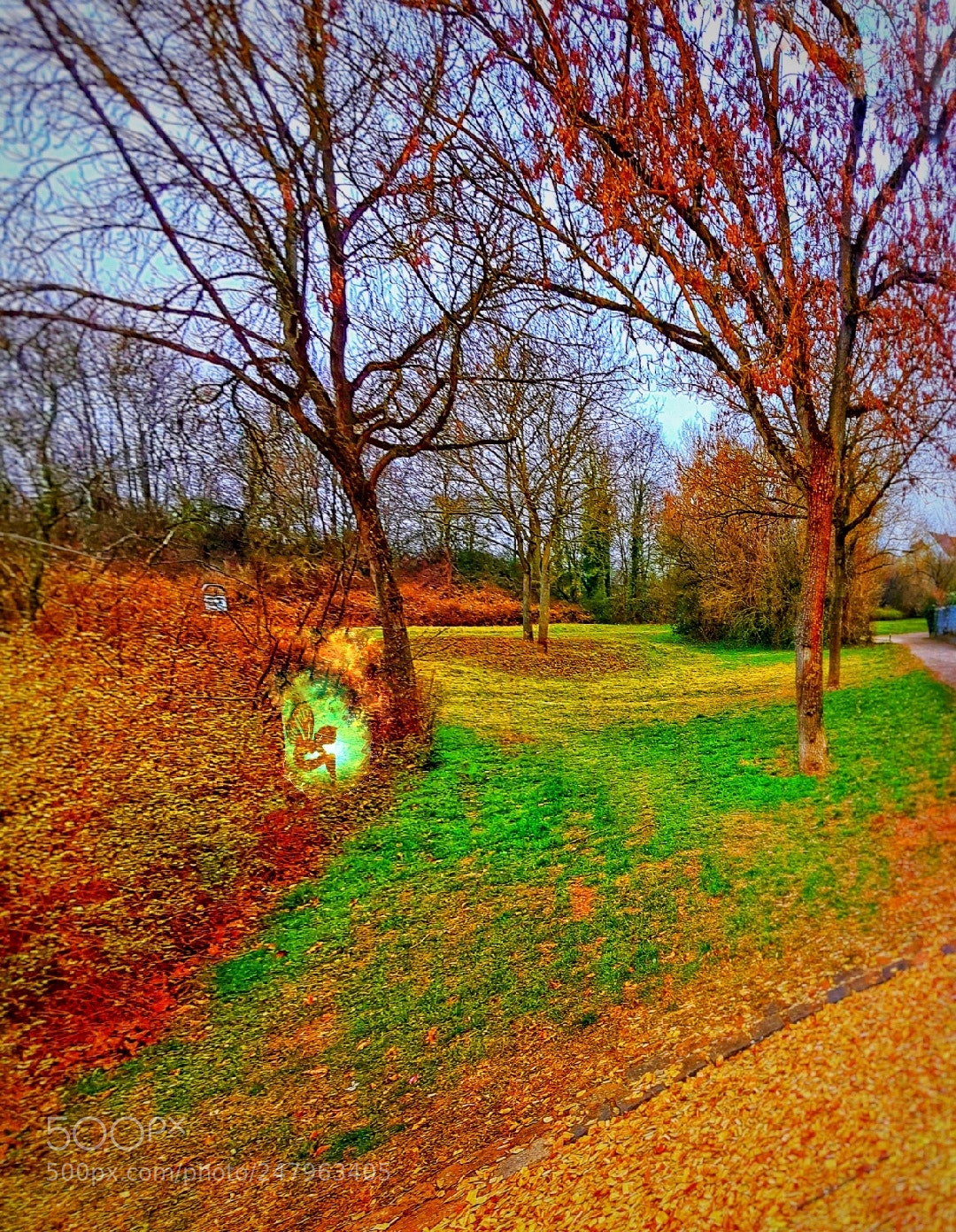 Samsung Galaxy S7 Edge sample photo. Kleine elfe photography