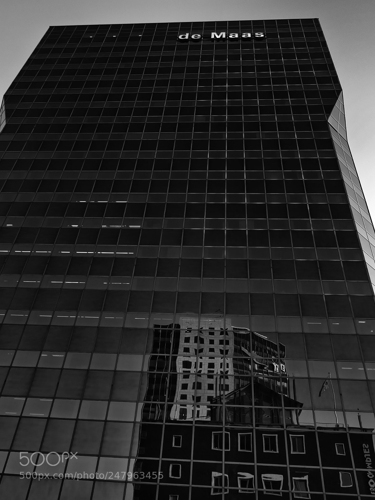 Sony Cyber-shot DSC-RX100 sample photo. Maas photography