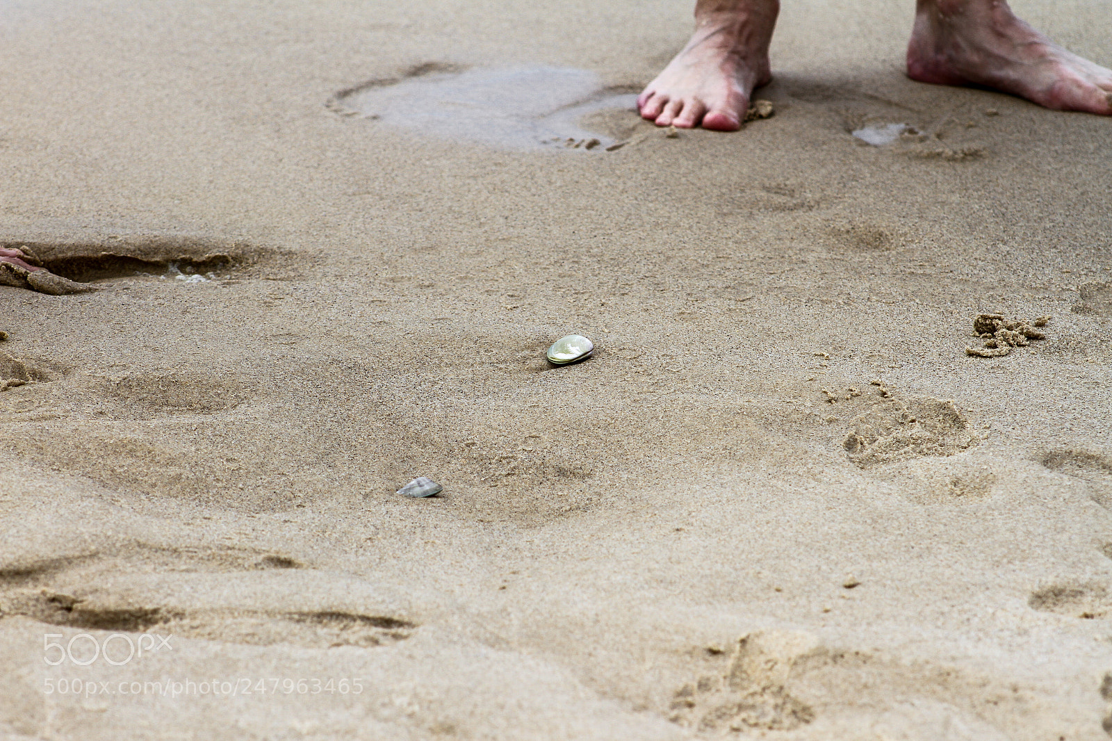 Canon EOS 7D sample photo. Getting wet photography