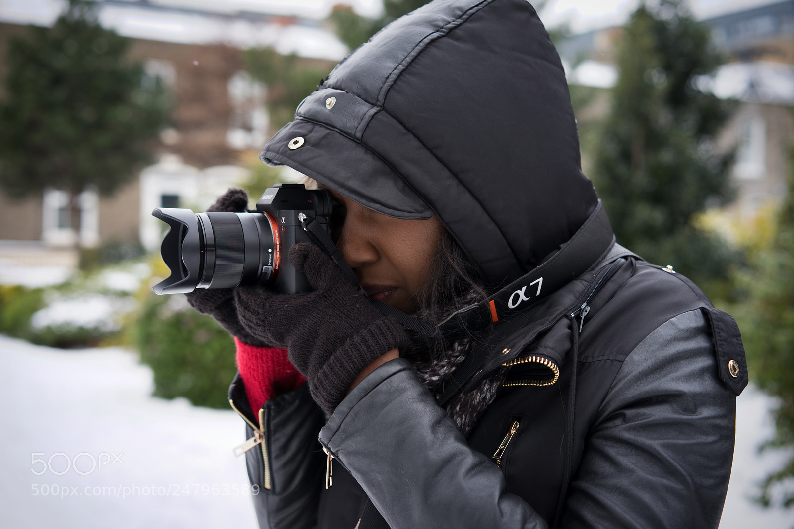 Sony a7 II sample photo. Sony a7riii gear porn photography