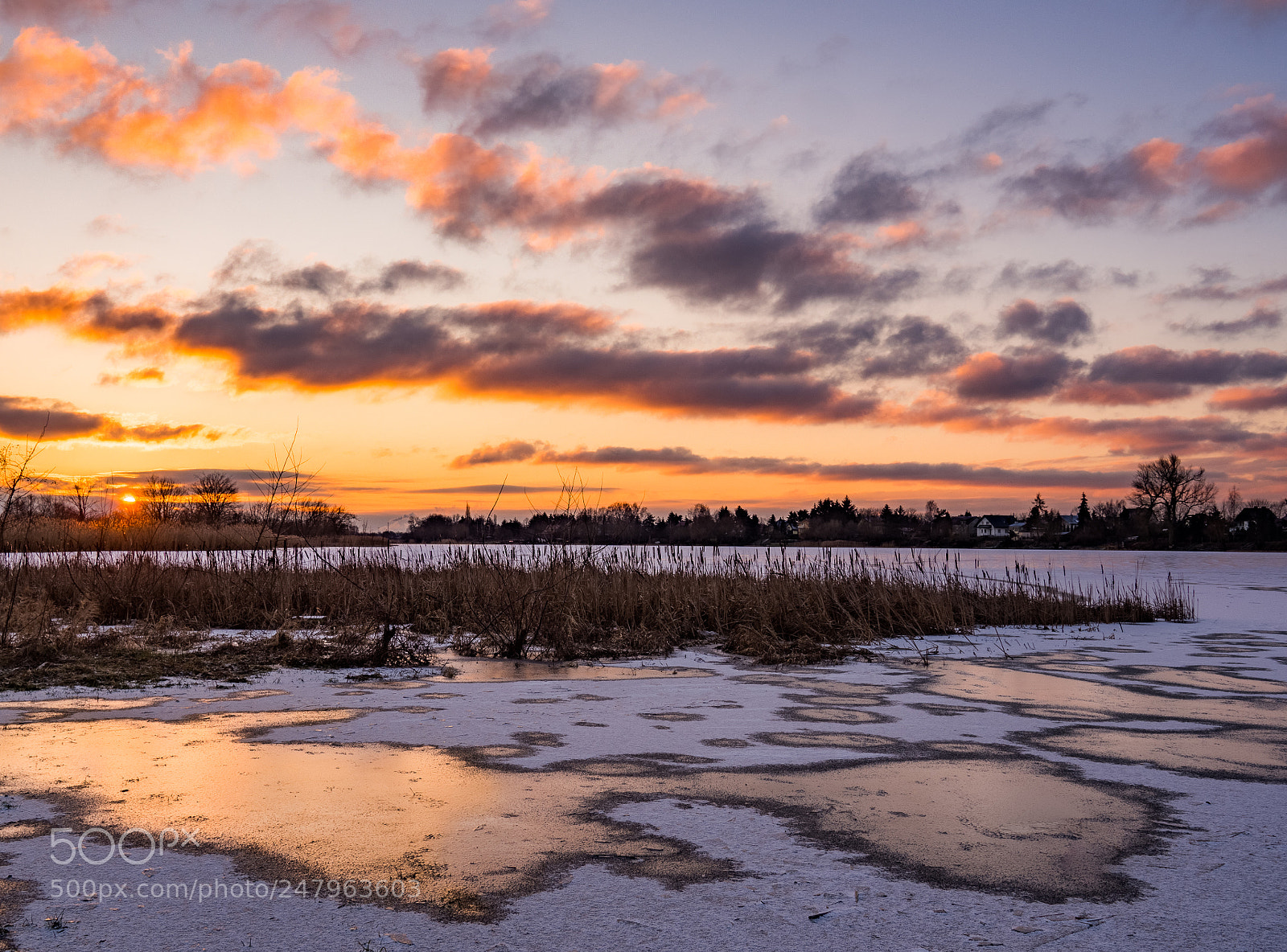 Olympus OM-D E-M10 II sample photo. Frozen lake photography