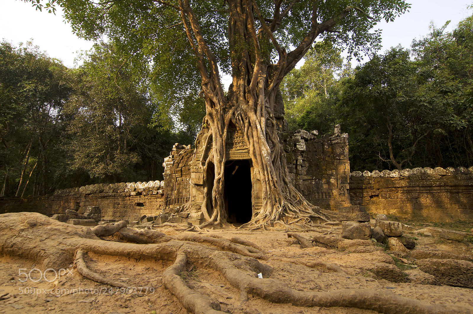 Nikon D90 sample photo. Ta som photography