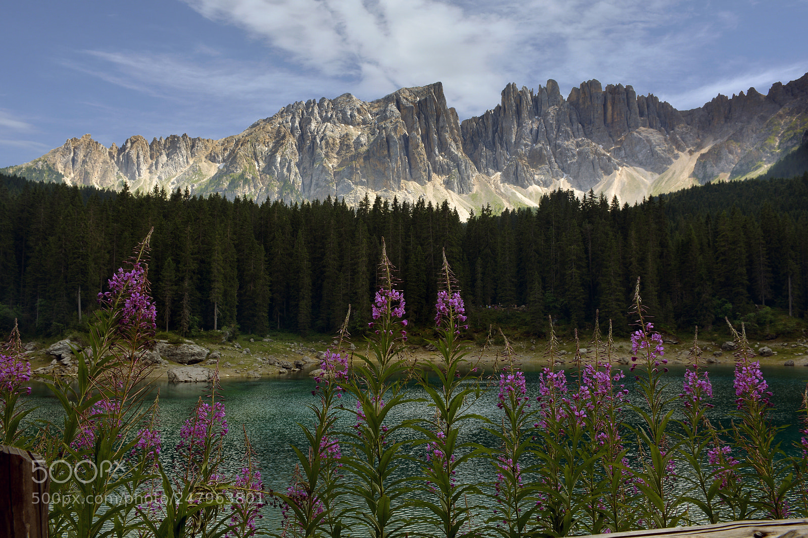 Nikon D7100 sample photo. Carezza photography