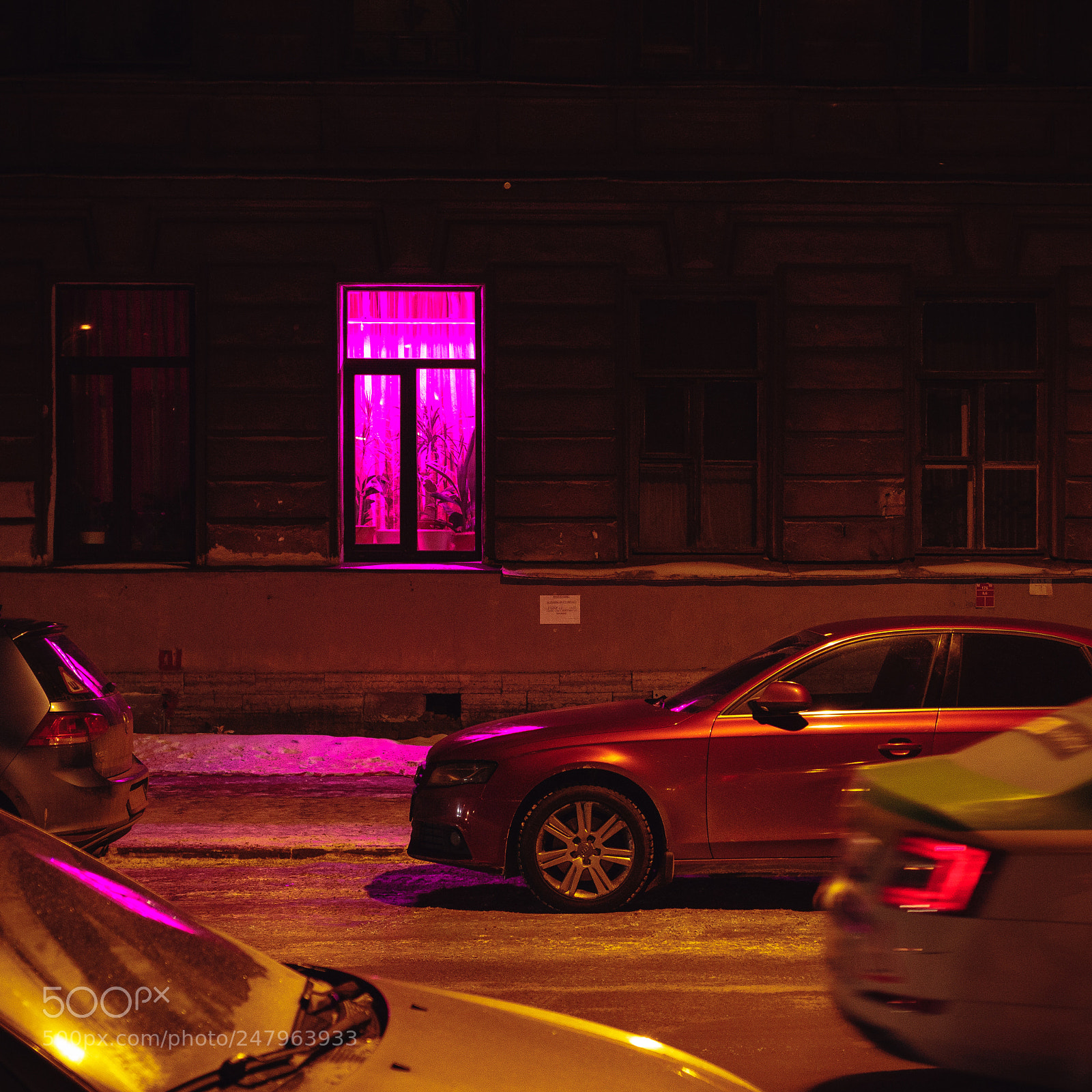 Canon EOS 7D Mark II sample photo. Pink room photography