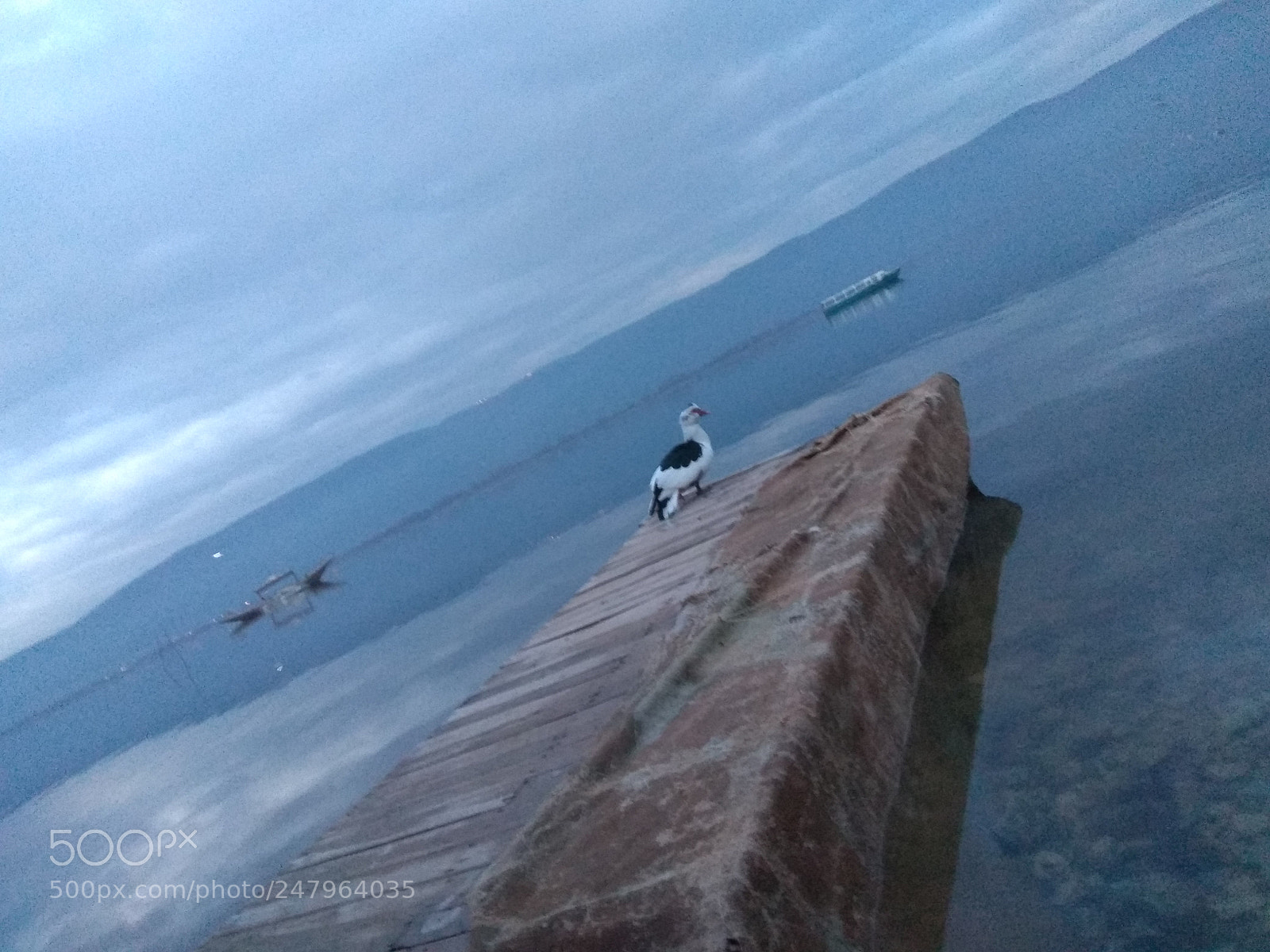 Xiaomi Redmi Note 4 sample photo. Untitled photography