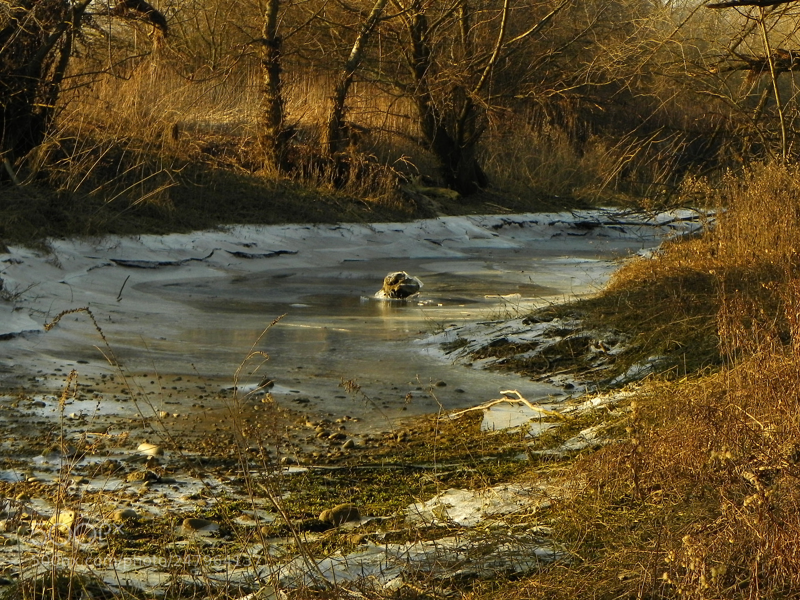 Nikon Coolpix P100 sample photo. Frozen river stream photography