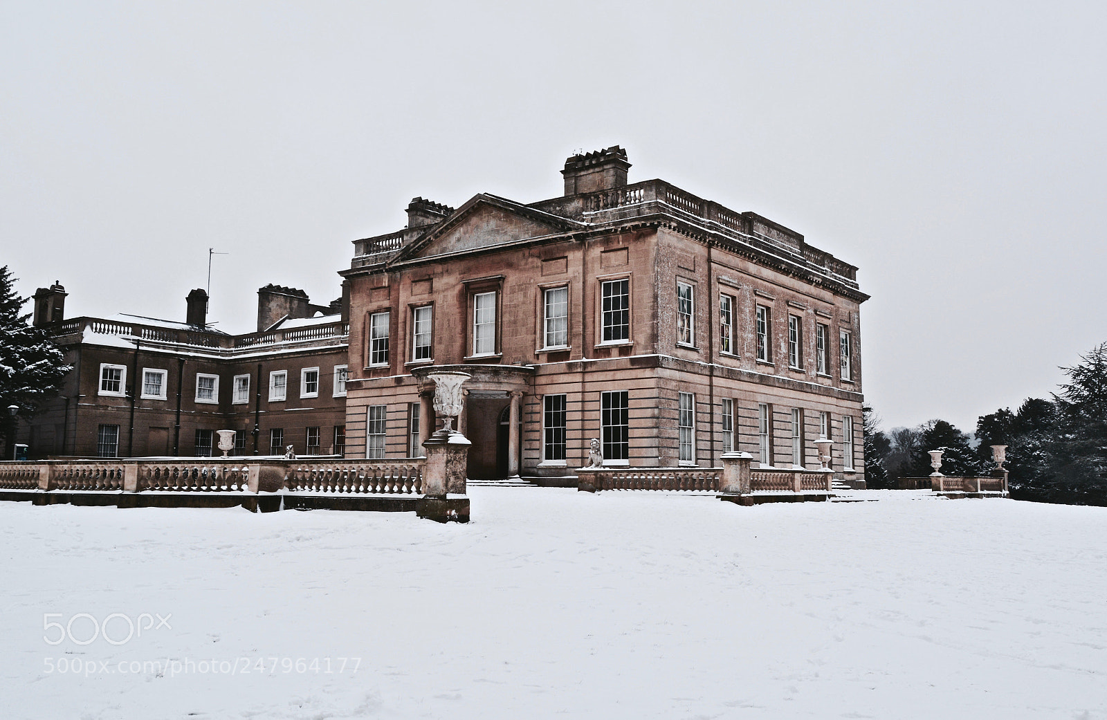 Nikon D5200 sample photo. Blaise in snow photography