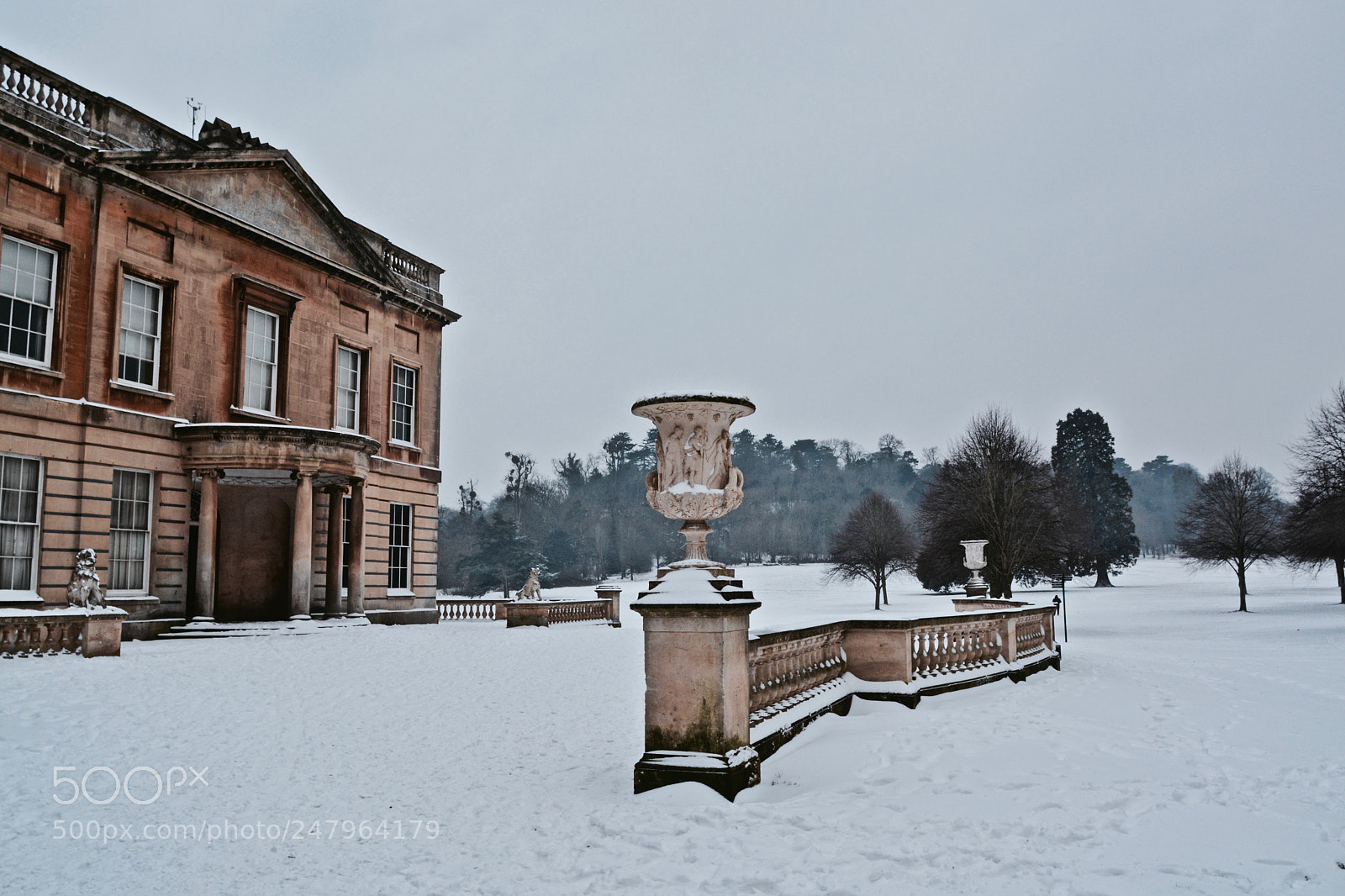 Nikon D5200 sample photo. Blaise in snow photography