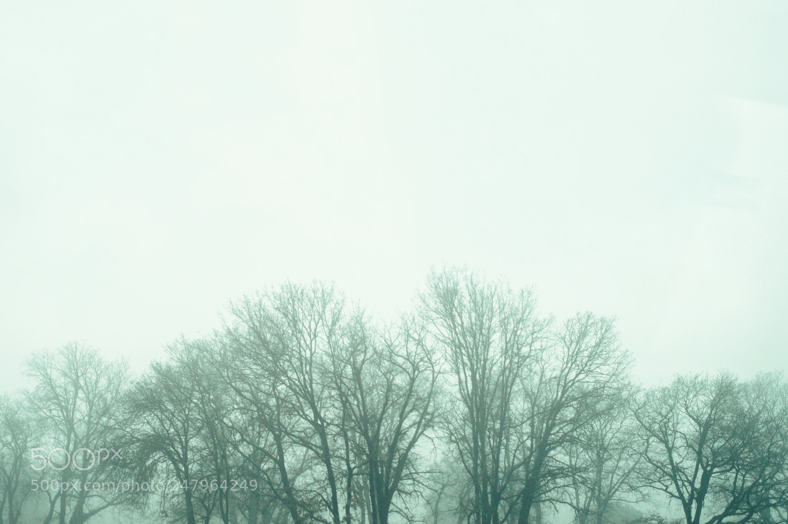 Nikon D3200 sample photo. Mist. photography
