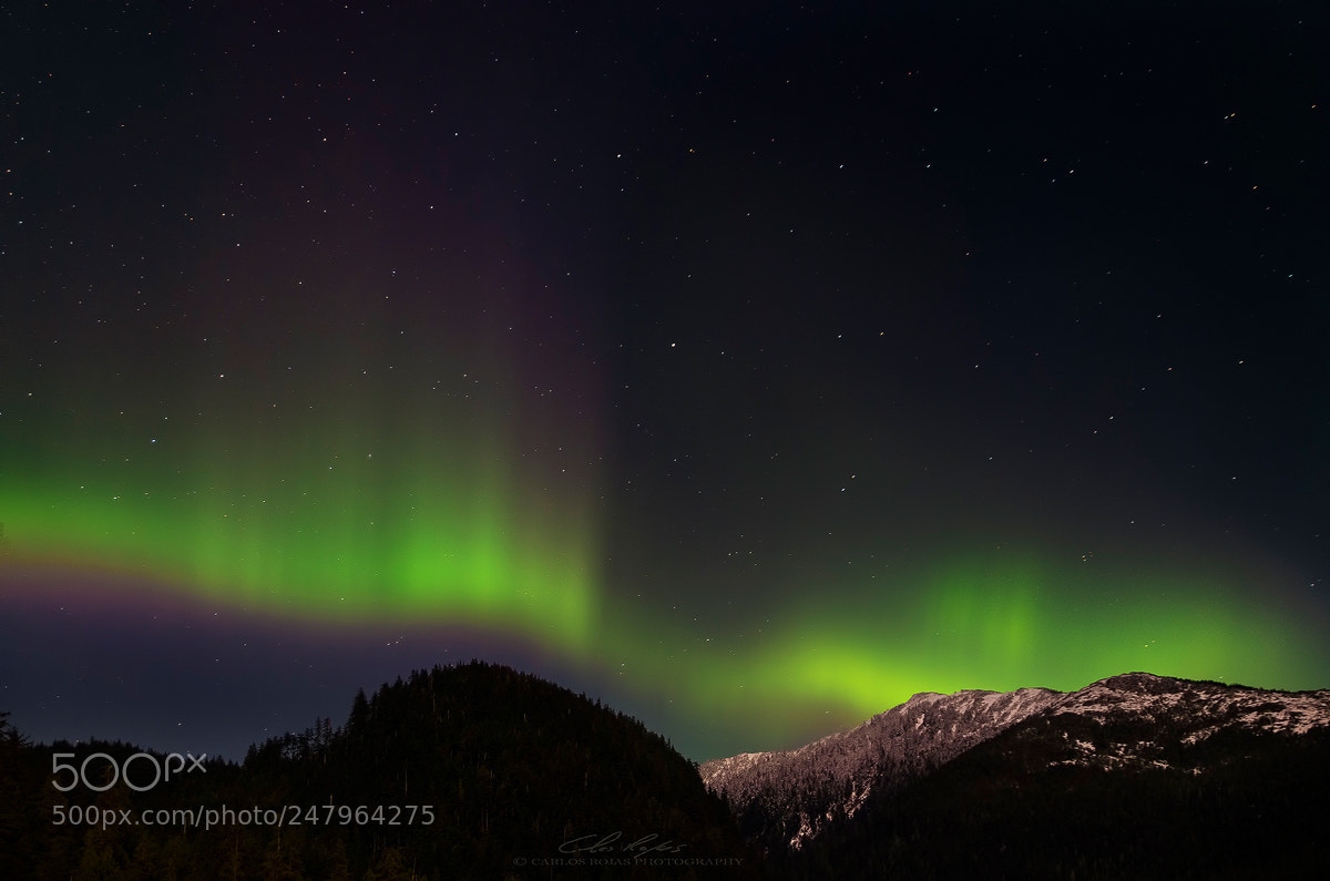 Pentax K-5 sample photo. The alaska night skies photography