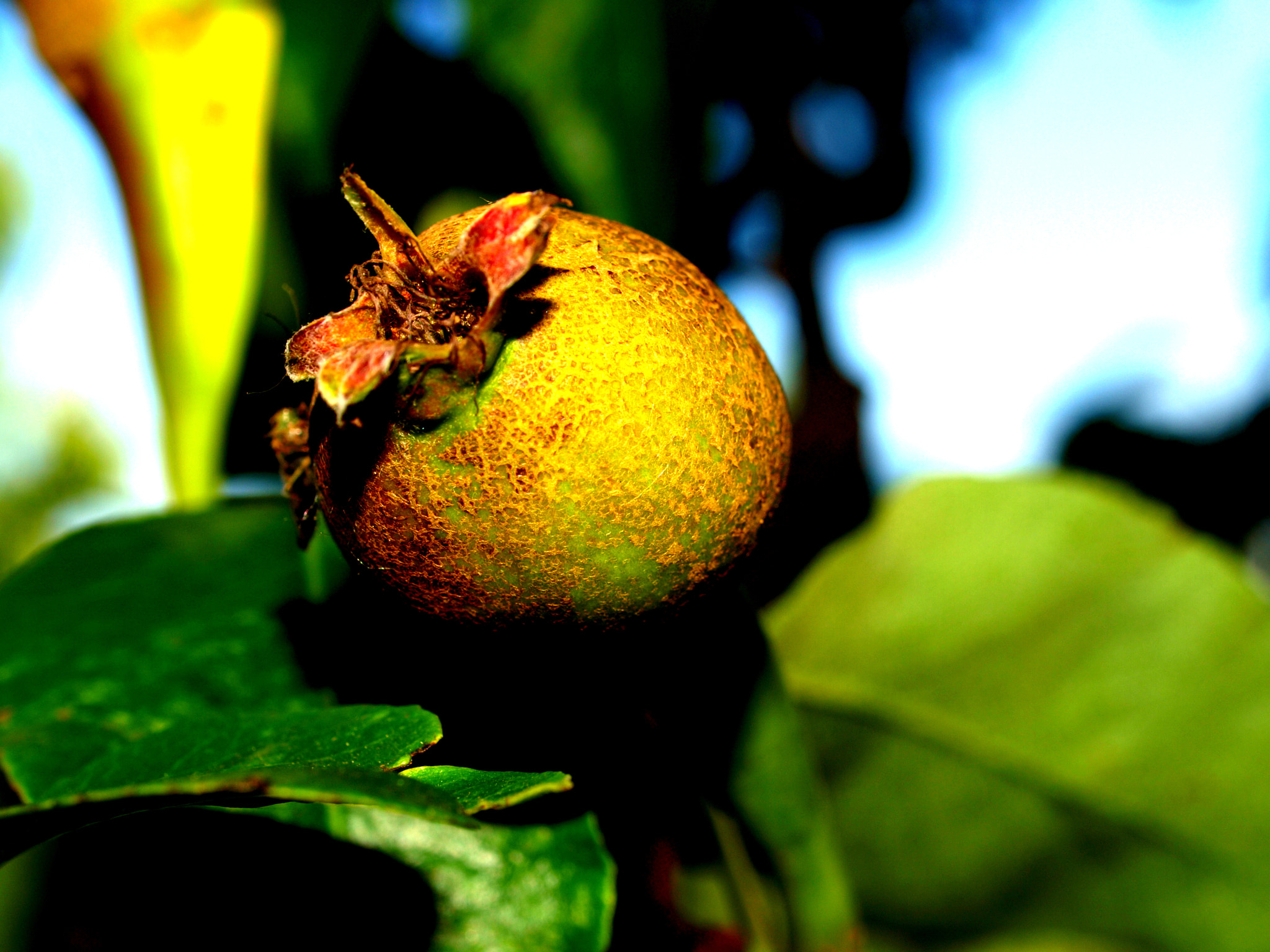 Olympus E-410 (EVOLT E-410) sample photo. Colorful nature photography