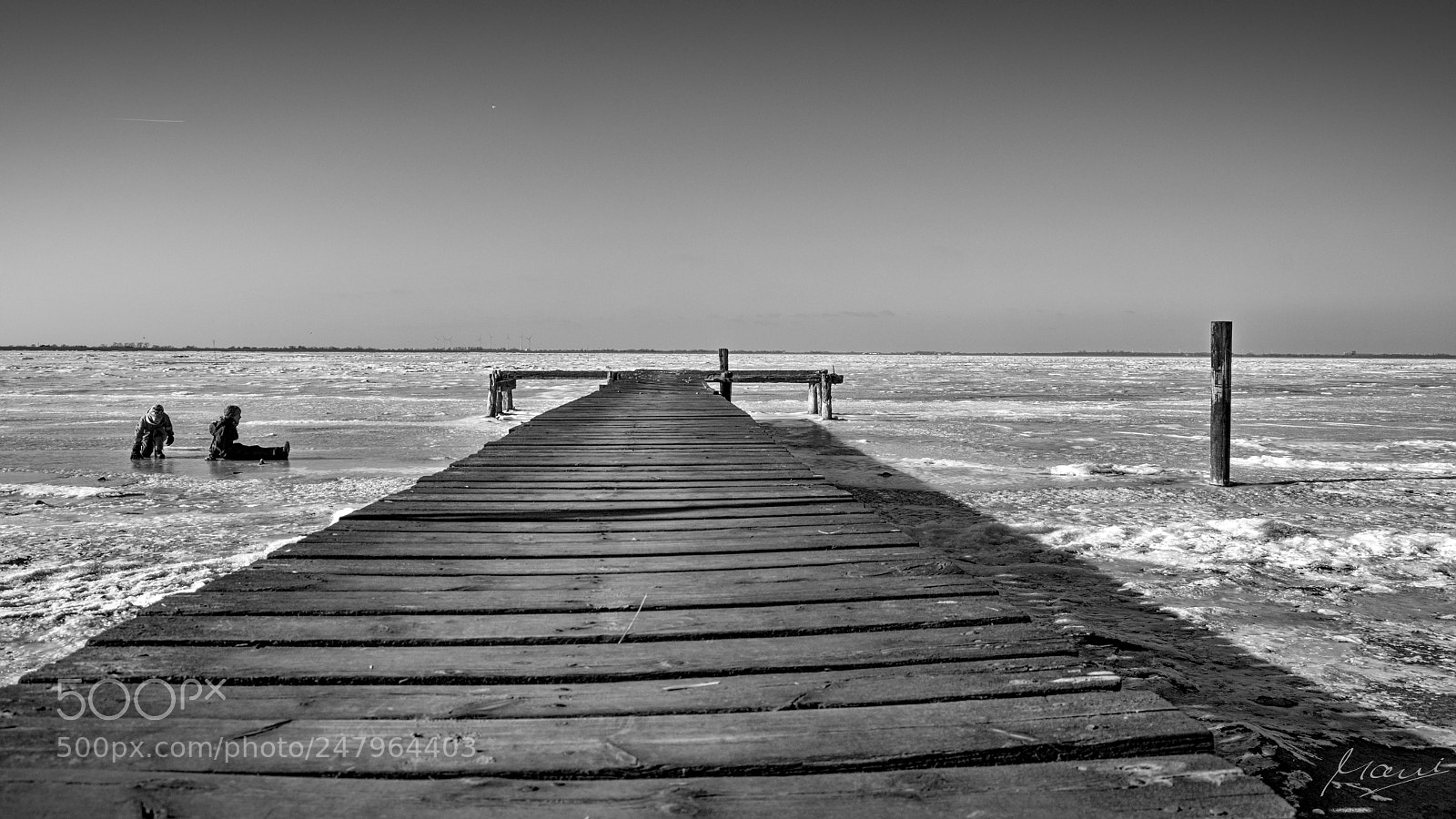 Nikon D90 sample photo. Sitting on the frozen photography