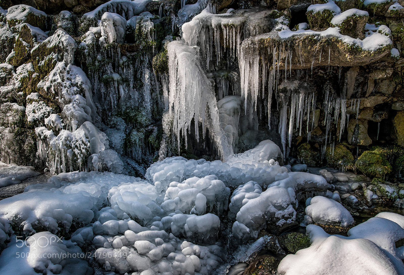 Nikon D850 sample photo. Frozen photography