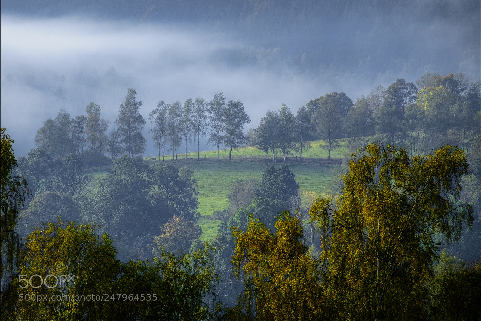 Fujifilm X-T1 sample photo. Evening mist photography