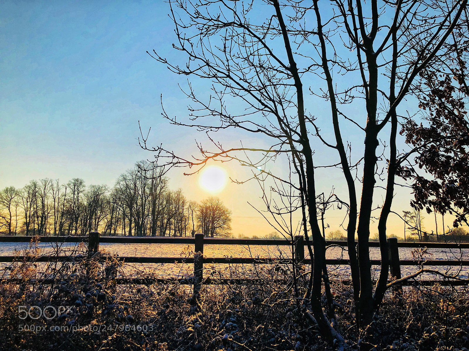 Apple iPhone 8 Plus sample photo. Winter fields photography