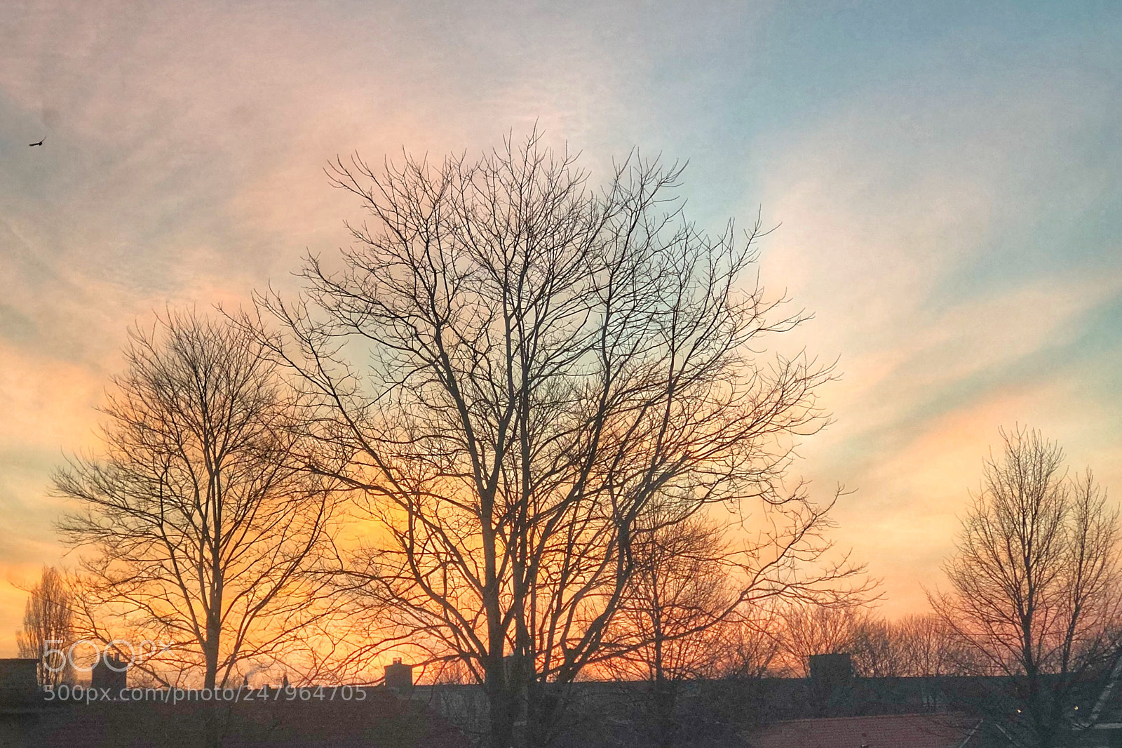 Apple iPhone X sample photo. Dutch sunrise photography