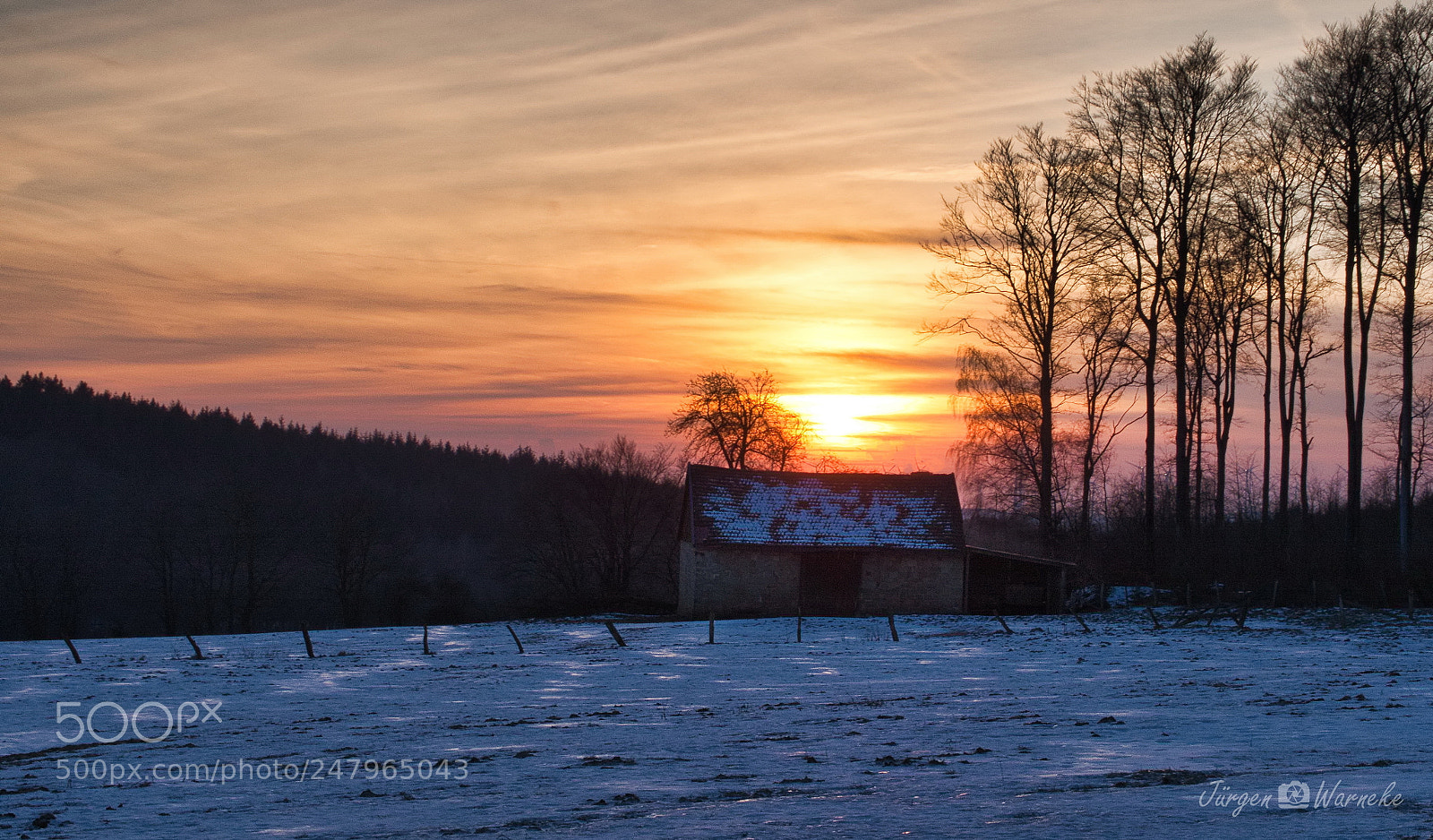 Olympus OM-D E-M10 II sample photo. Frosty sundown photography