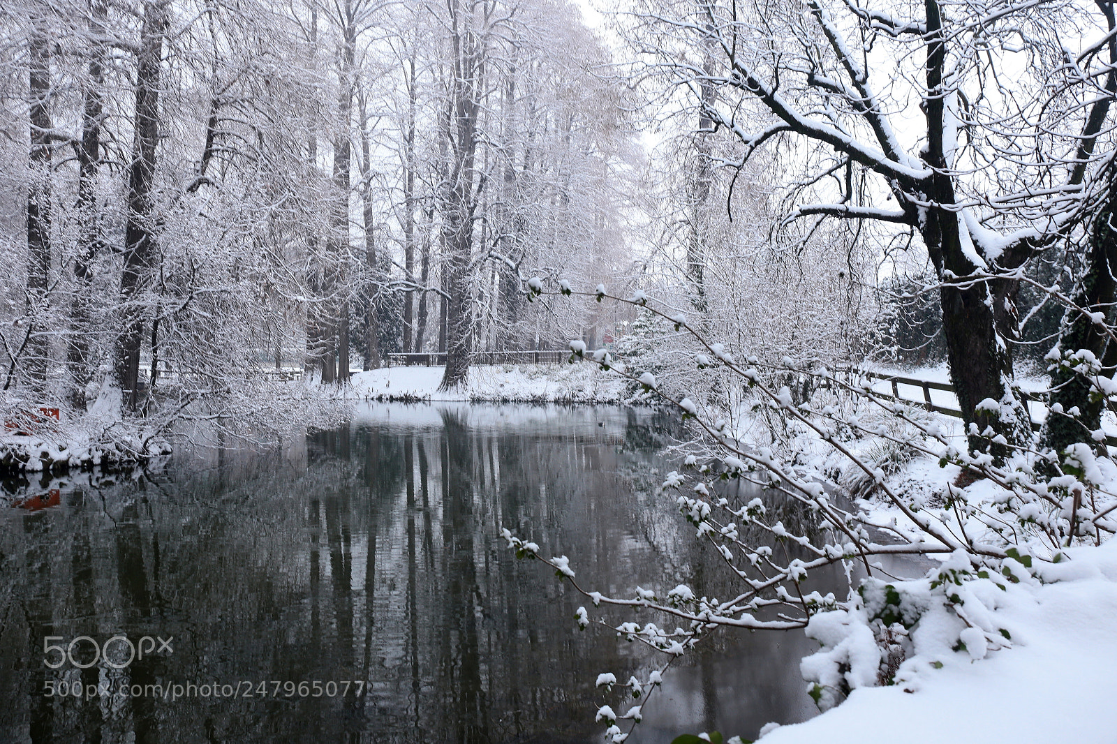 Canon EF 24-70mm F4L IS USM sample photo. A snowy day at photography