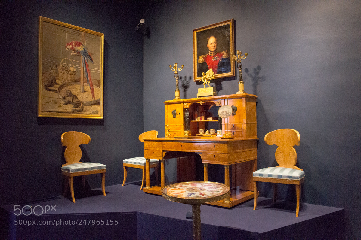 Sony Alpha NEX-3 sample photo. Russian tsars room photography