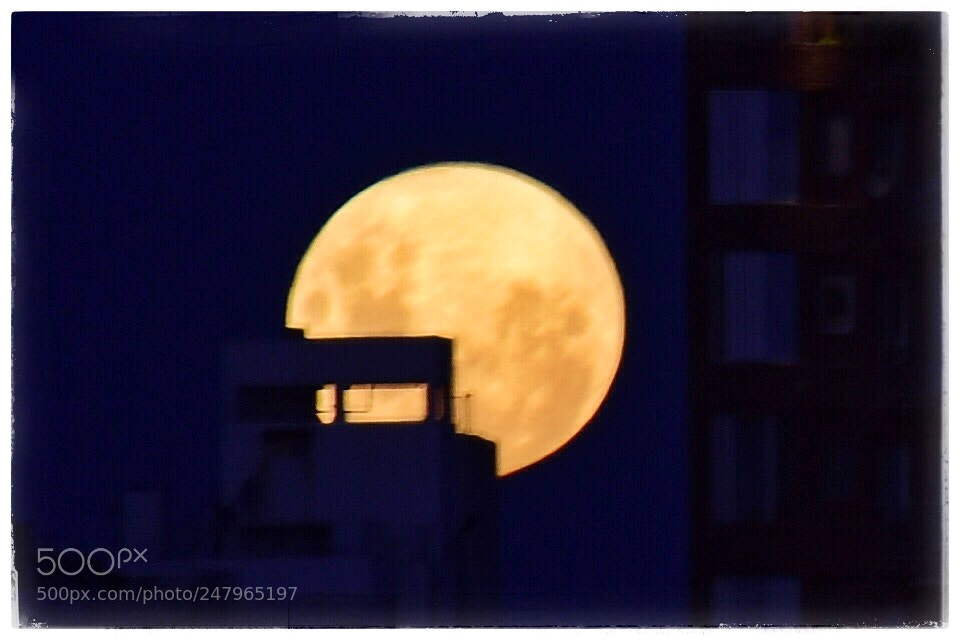 Nikon D7200 sample photo. Full moon ascending photography