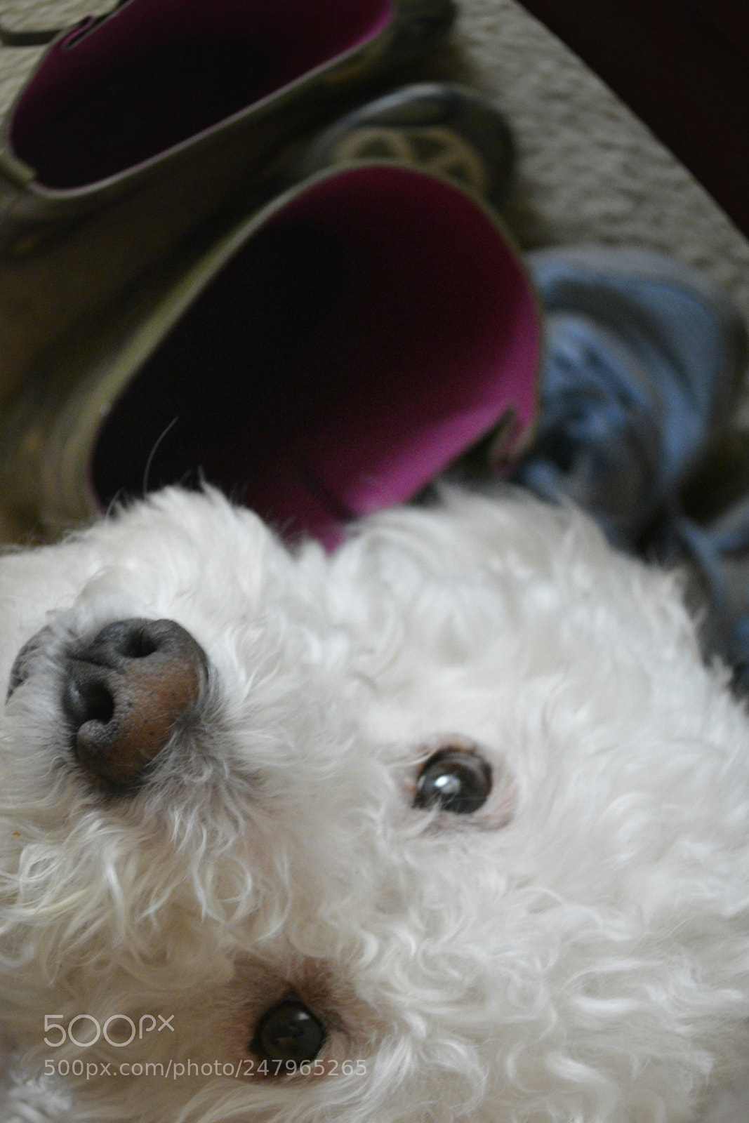 Nikon D5200 sample photo. Assignment work in progress photography