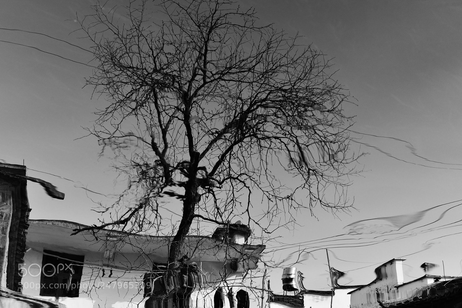 Nikon D600 sample photo. Untitled photography