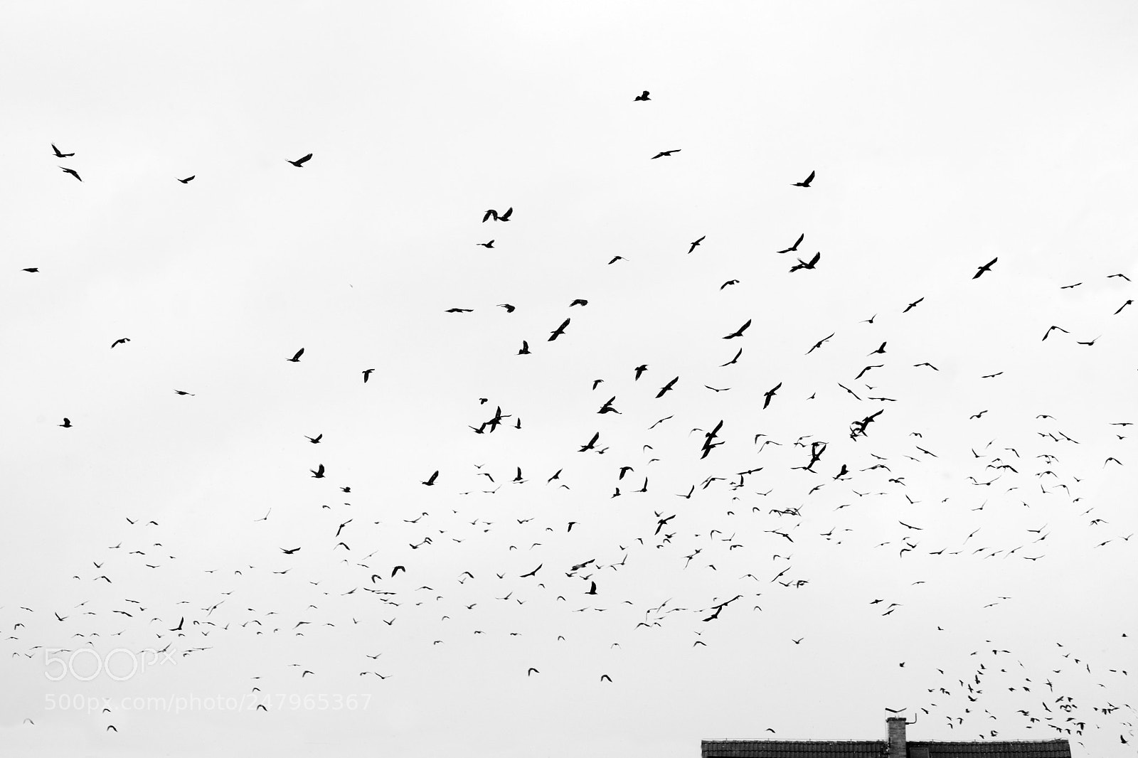 Fujifilm X-T2 sample photo. Untitled photography