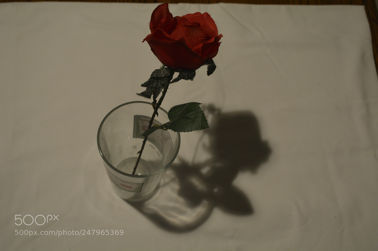 Nikon D5200 sample photo. Dsc photography
