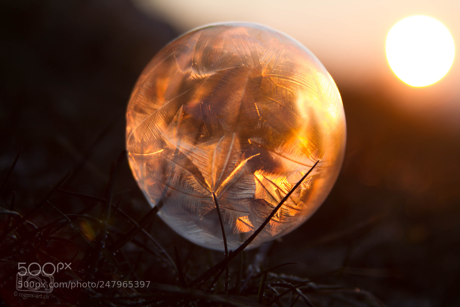 Canon EOS 7D sample photo. In der kalten morgensonne photography