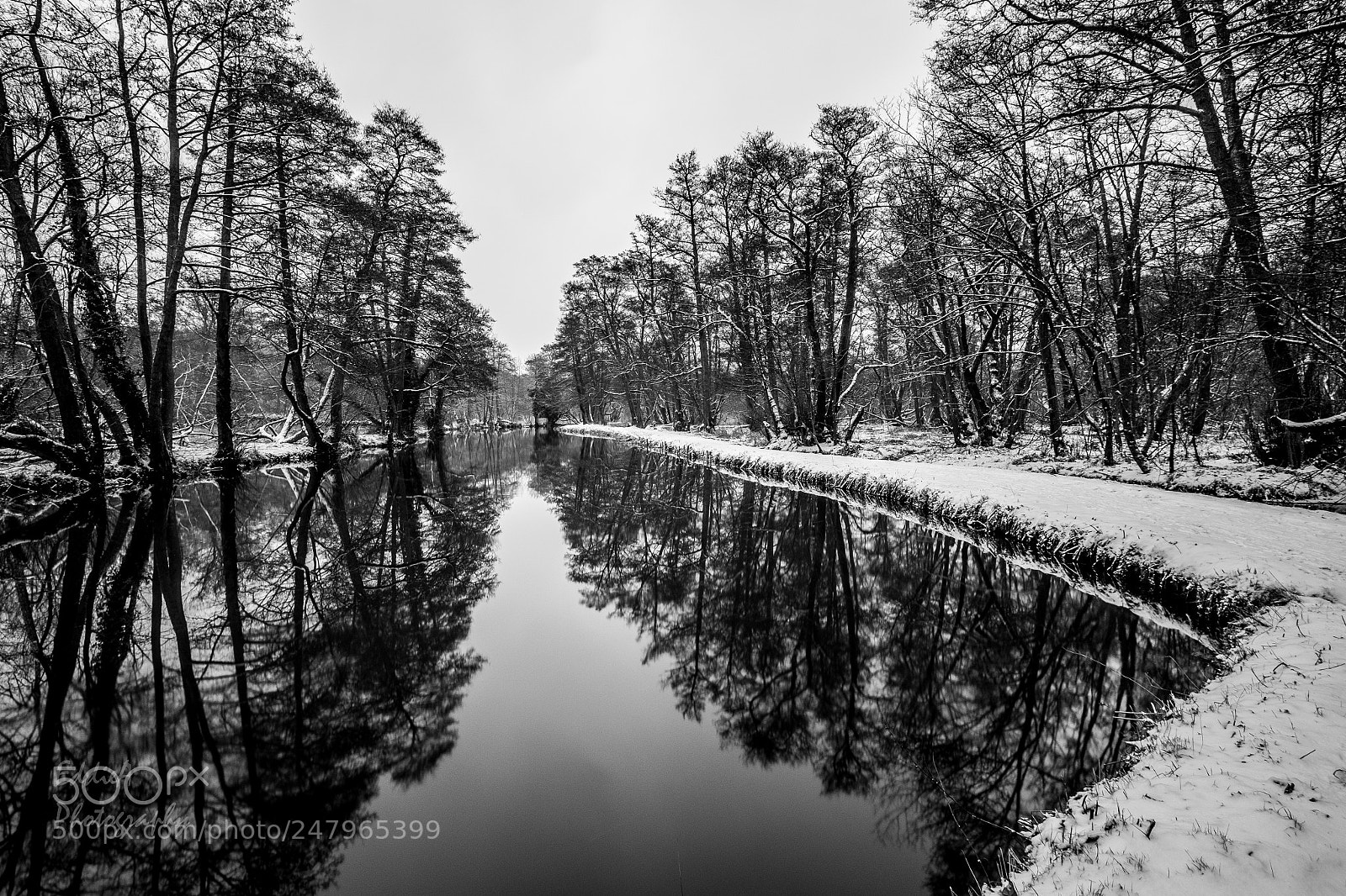 Fujifilm X-E2 sample photo. Beast from the east photography