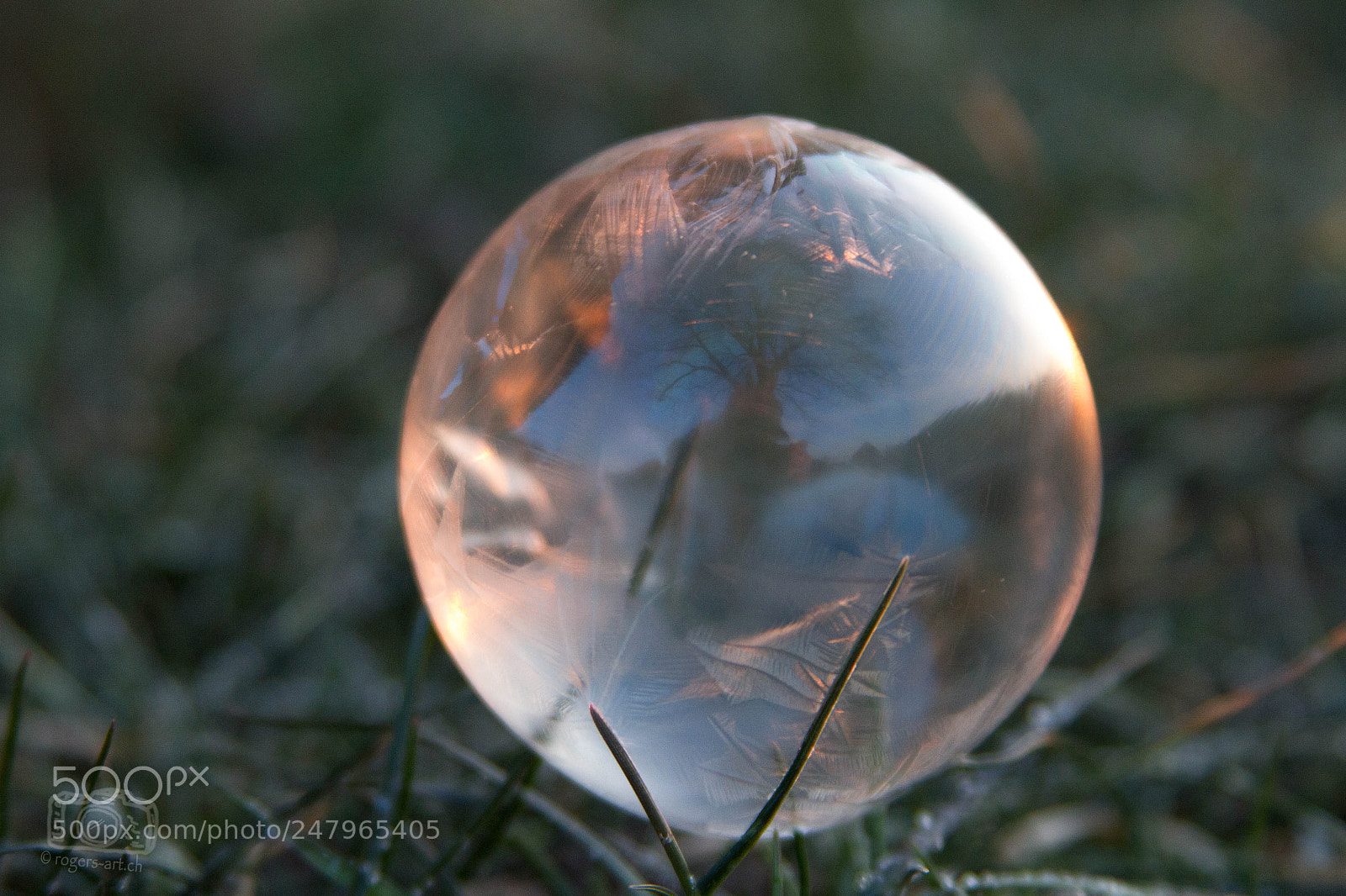 Canon EOS 7D sample photo. Speigelung photography