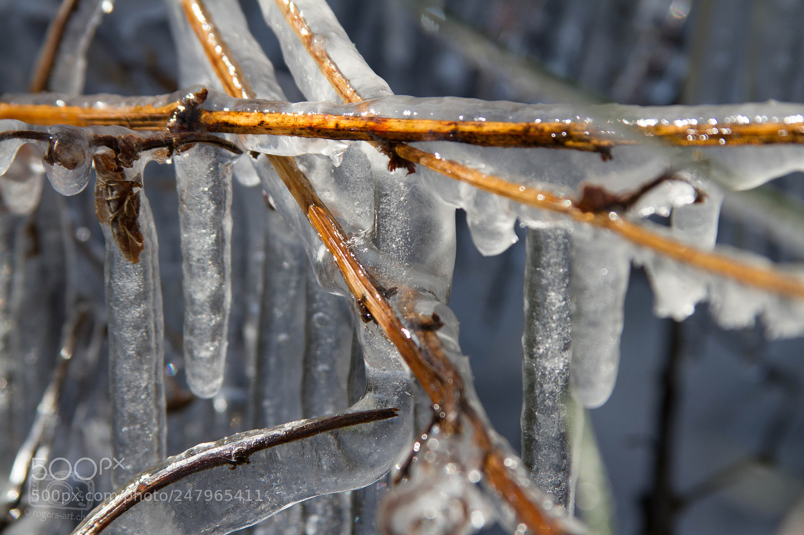 Canon EOS 7D sample photo. Väterchen frost photography